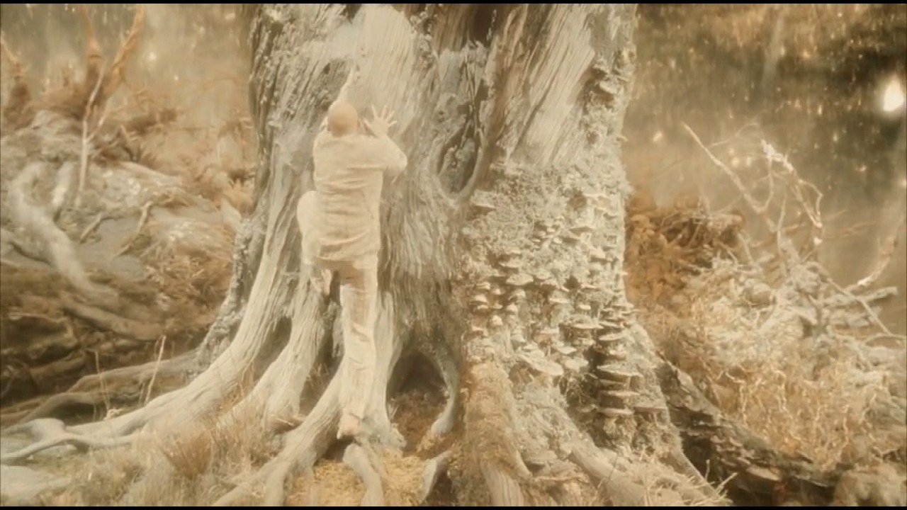 Video for the film The Fountain — Best Scene In The Fountain Movie - Must Watch