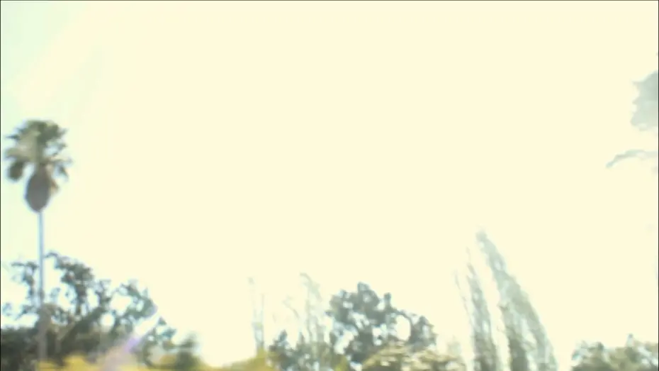 Video for the film The Backseat Killer — The Backseat Killer
