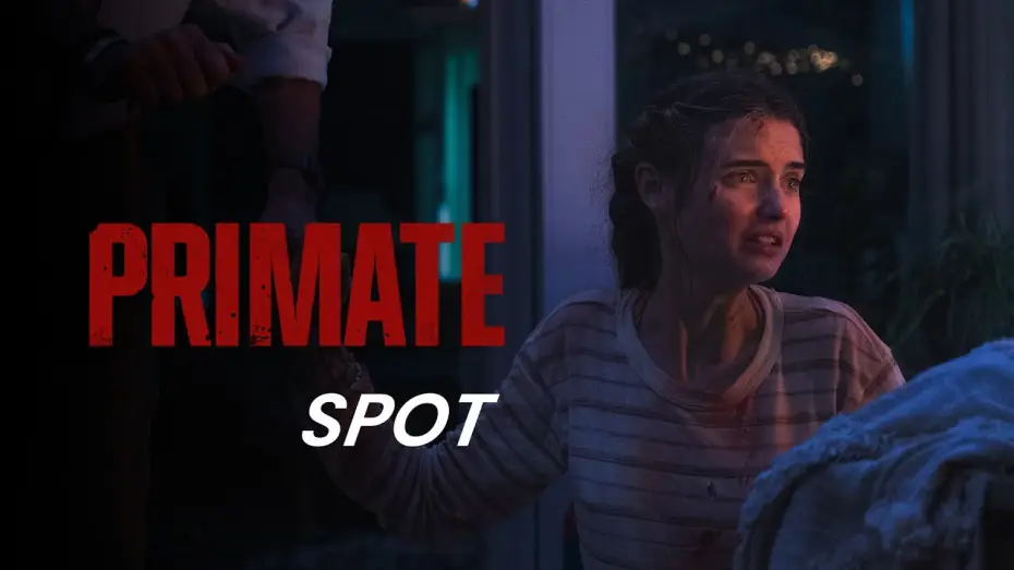 Video for the film Primate — PRIMATE | Operator 30 | Kinostart: ab 29.1.