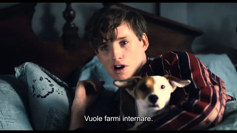Video for the film The Danish Girl — THE DANISH GIRL di Tom Hooper - Featurette "Alicia Vikander" (sottotitoli in italiano)