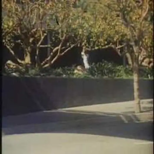 Video for the film Death Race 2000 — Death Race 2000 Hospital Clip