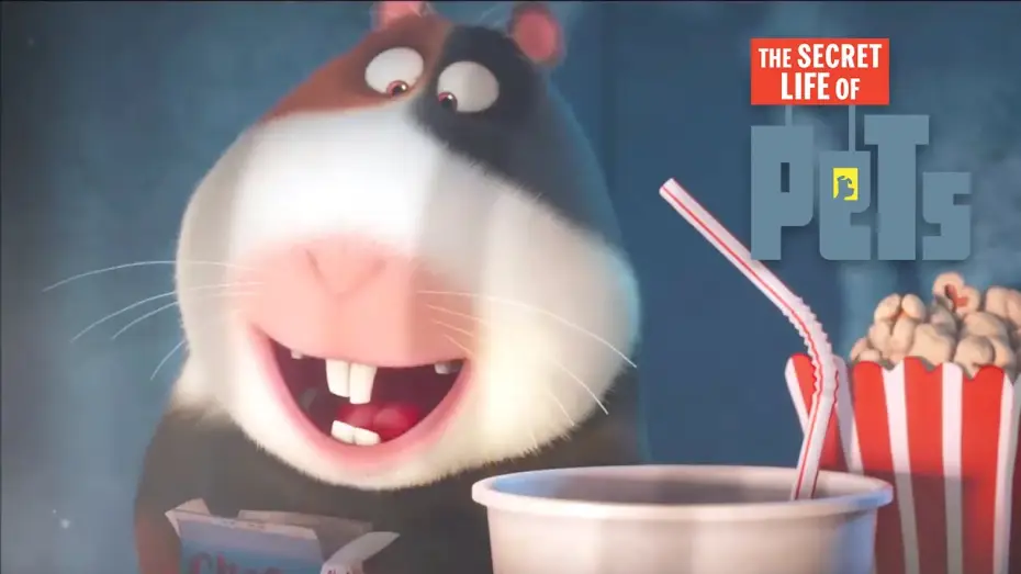 Video for the film The Secret Life of Pets — Norman's TV - Film Clip