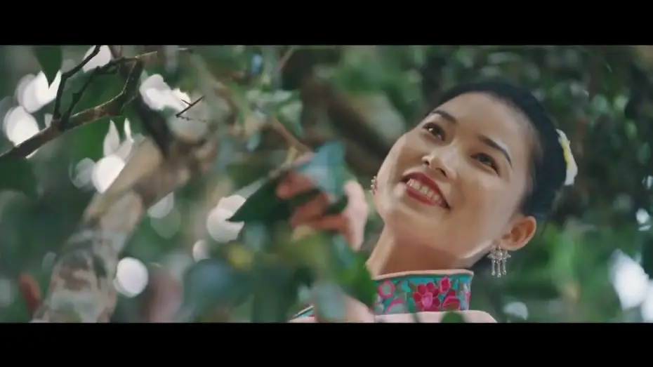 Video for the film Miraculous Leaf — Miraculous Leaf 叶之灵 - Trailer