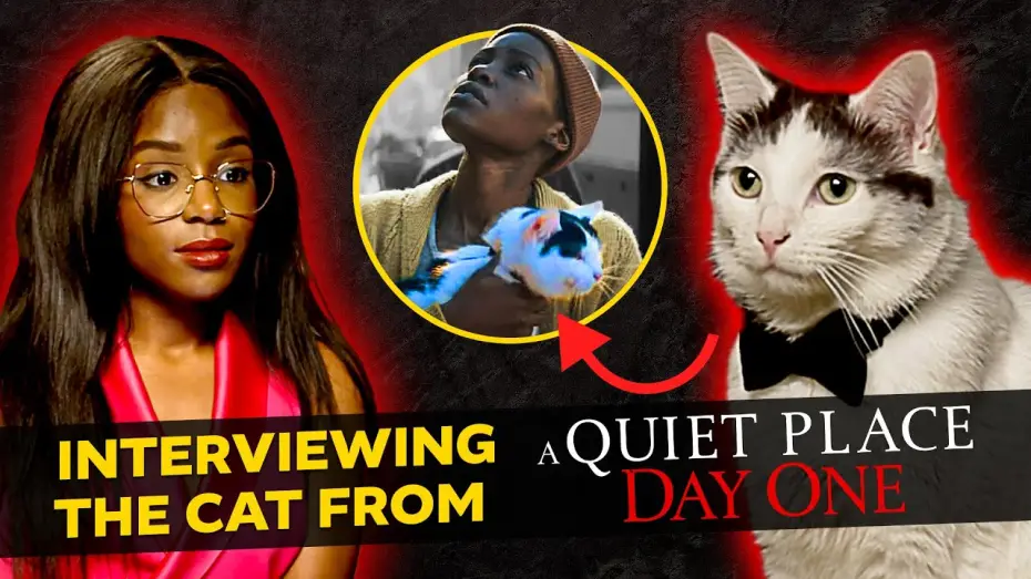 Video for the film A Quiet Place: Day One — An Exclusive Interview with The Cat from A Quiet Place: Day One