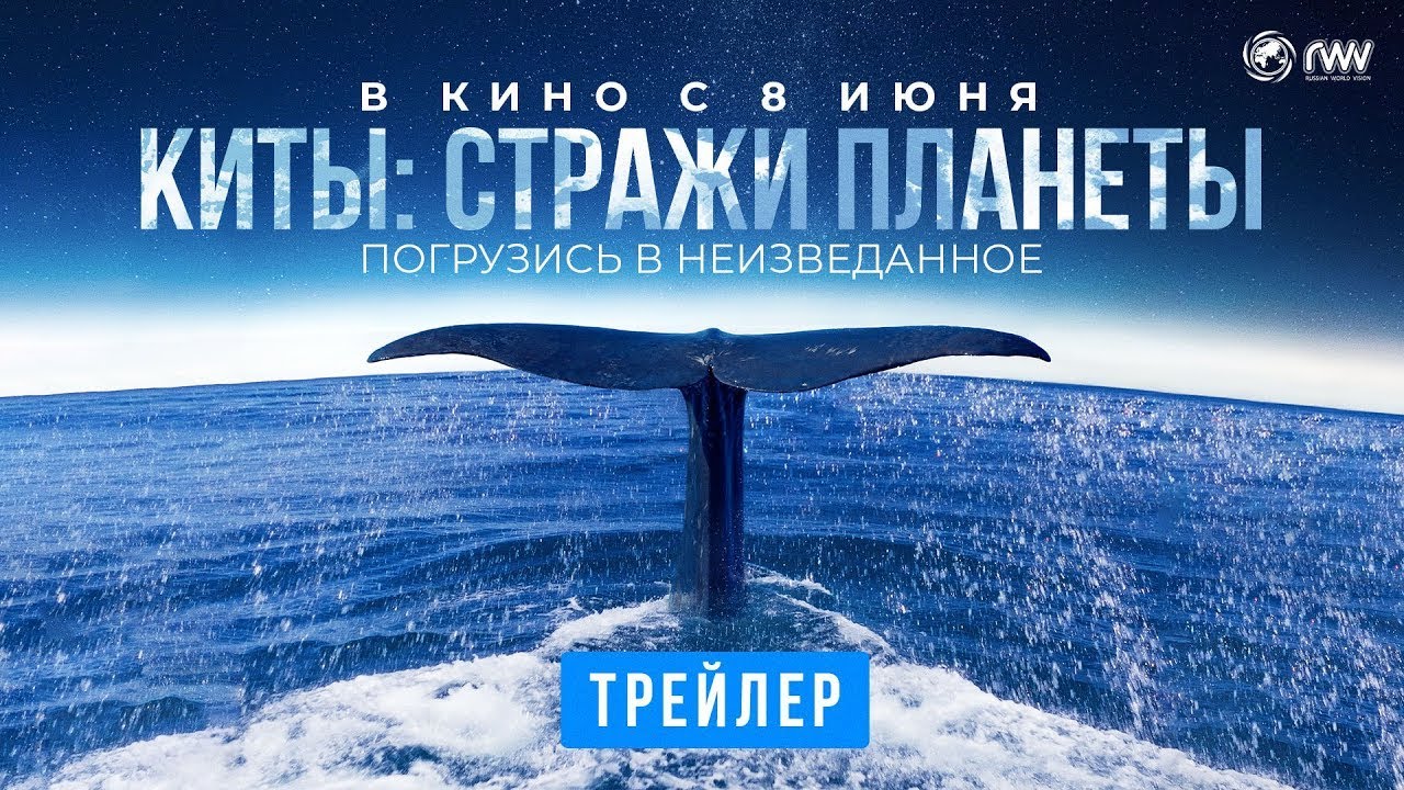 Video for the film Whale Nation — трейлер французского познавательного фильма КИТЫ: СТРАЖИ ПЛАНЕТЫ, в кино с 8 июня
