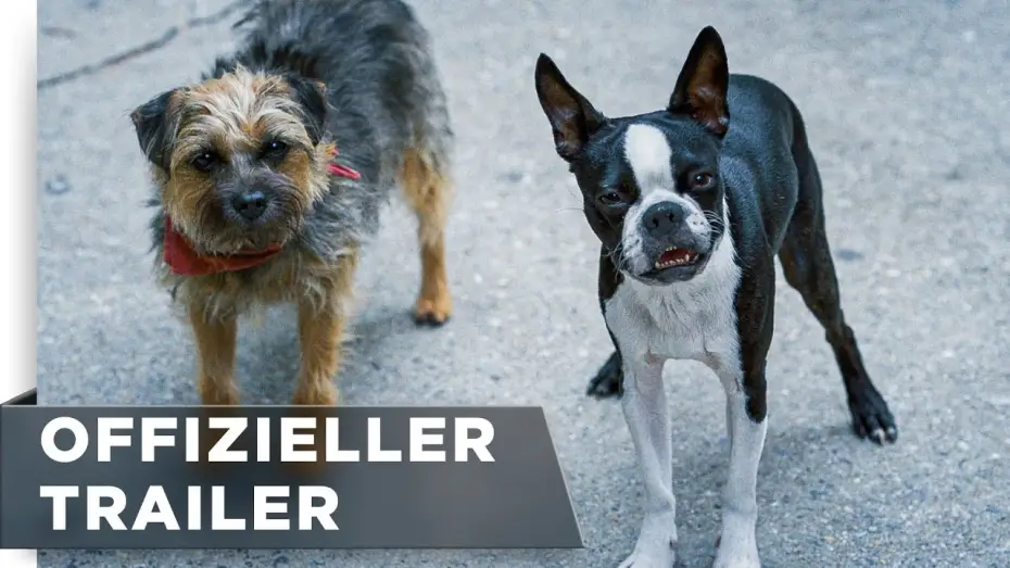 Video for the film Strays — Offizieller Trailer #3
