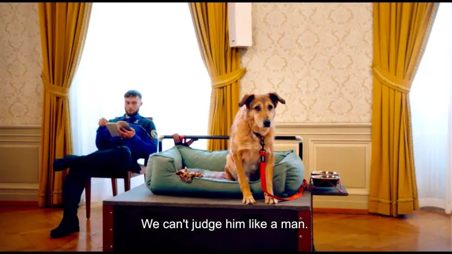 Video for the film Dog on Trial — Trailer [Subtitled]