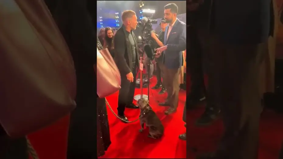 Video for the film Venom 3 — A VIP cutie patootie 🖤 Blue stole our hearts