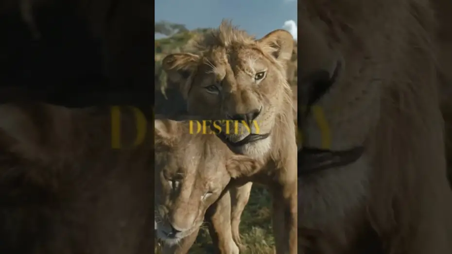 Video for the film Mufasa: The Lion King — Be the First to Watch at Home Today. Buy It Now Only On Digital