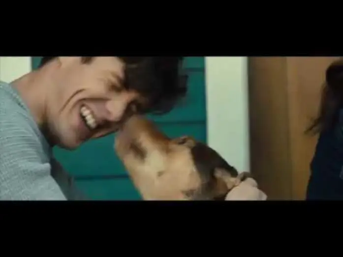Video for the film A Dog's Way Home — L’Incroyable Aventure de Bella - Extrait "Rentre à la Maison" VF