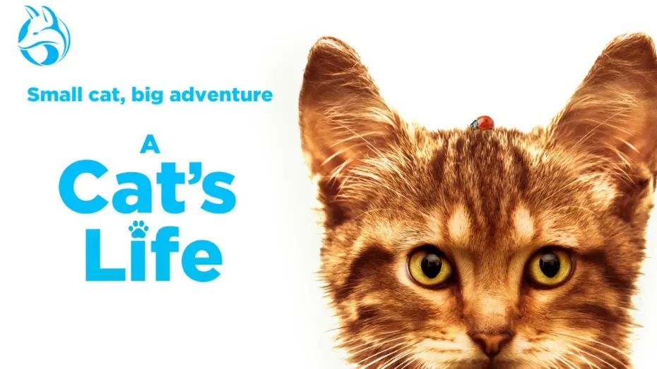 Video for the film A Cat's Life — Official US Trailer [Dubbed]
