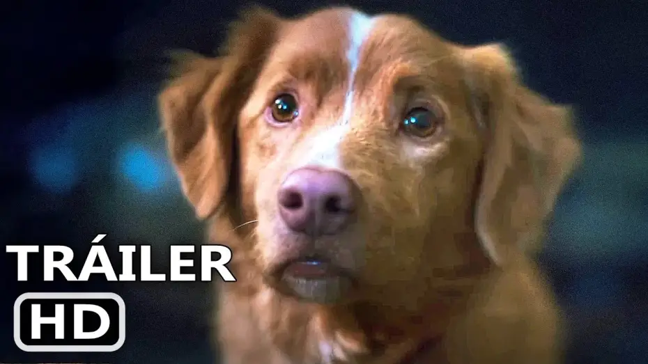 Video for the film Good Boy — GOOD BOY Tráiler Español Subtitulado (2025) Terror