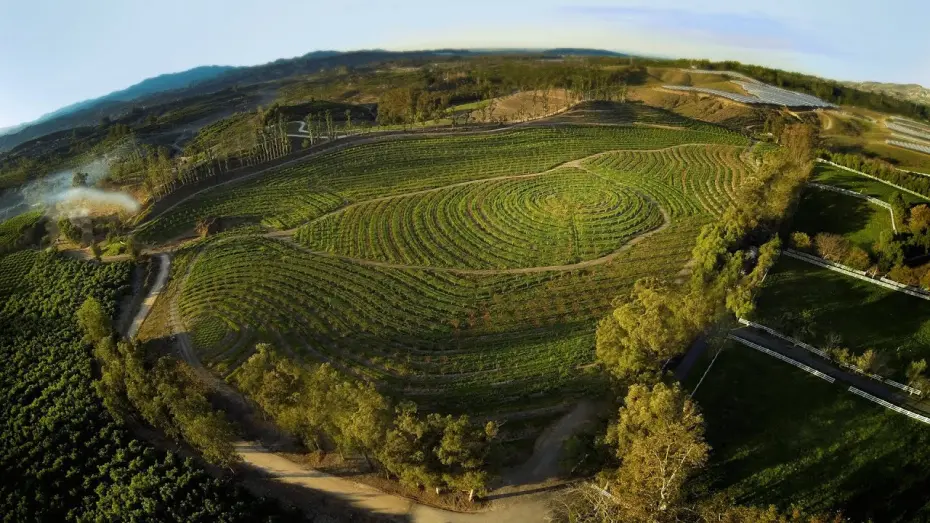 Video for the film The Biggest Little Farm — The Biggest Little Farm - Official Trailer Canada