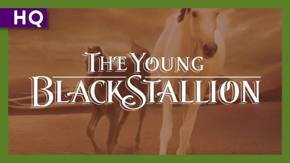 Video for the film Young Black Stallion — Young Black Stallion (2003) Trailer