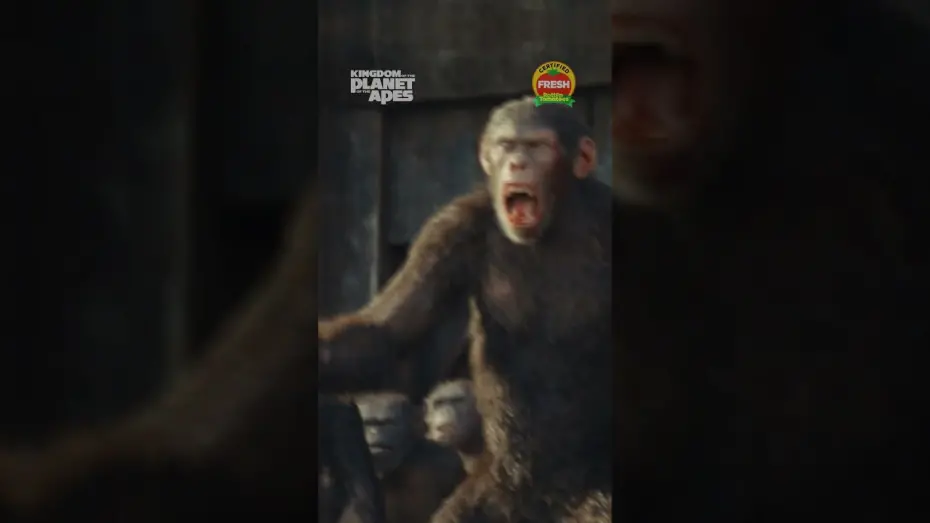 Video for the film Kingdom of the Planet of the Apes — Together Strong