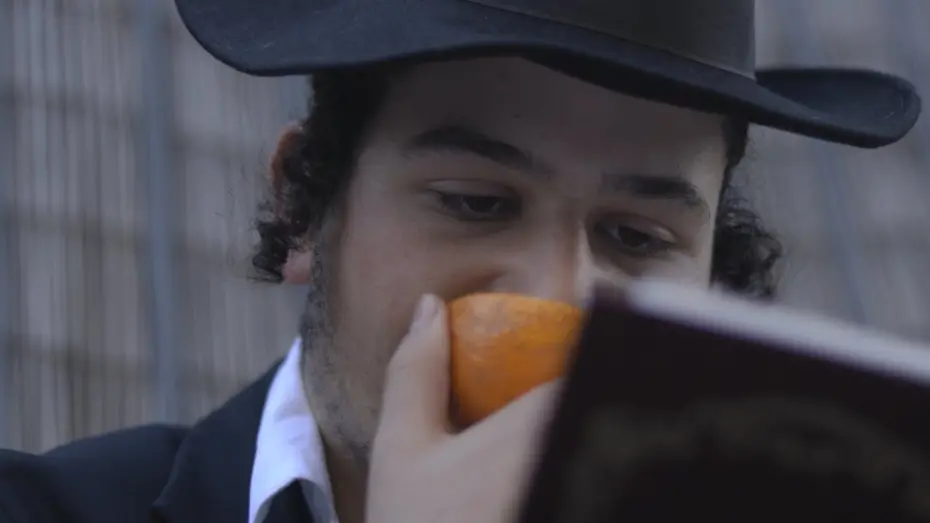 Video for the film Society Clusters — אשכולות החברה