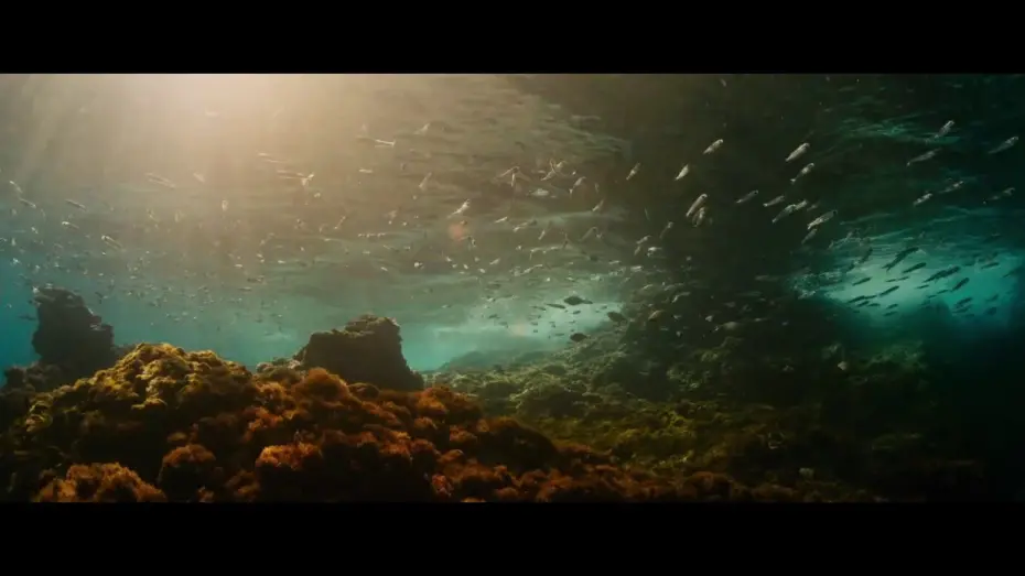 Video for the film Evolution — Official UK Trailer