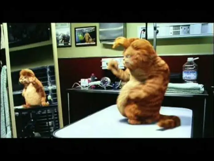 Video for the film Garfield — Garfield trailer ita