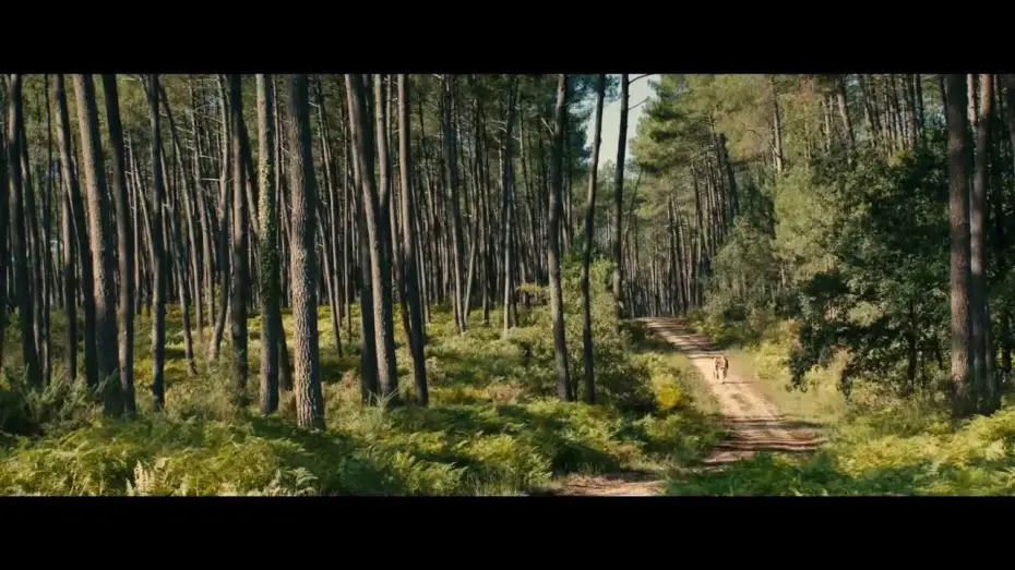 Video for the film Thérèse — Trailer THÉRÈSE (Deutsch) mit Audrey Tautou
