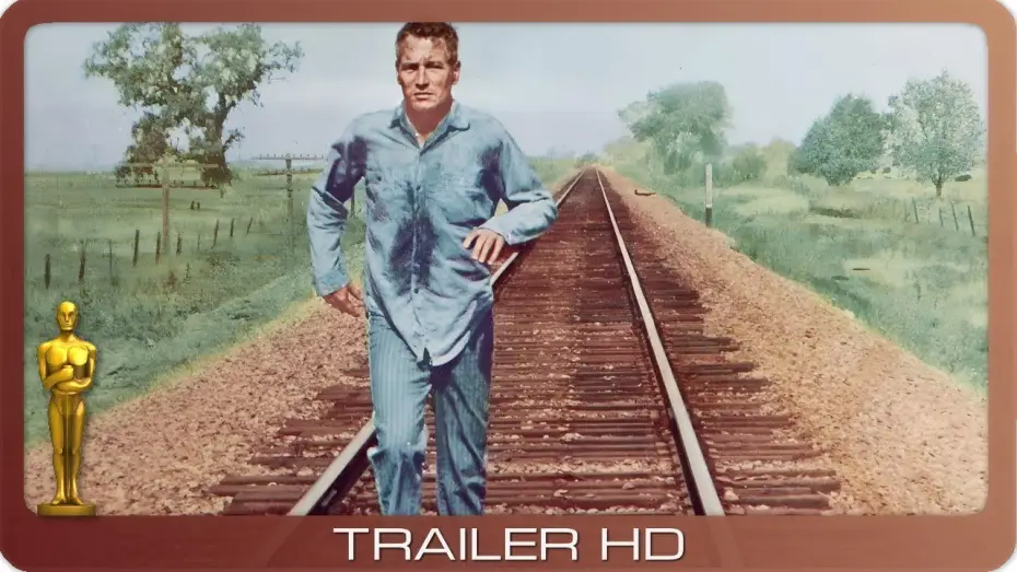 Video for the film Cool Hand Luke — Der Unbeugsame ≣ 1967 ≣ TV-Trailer