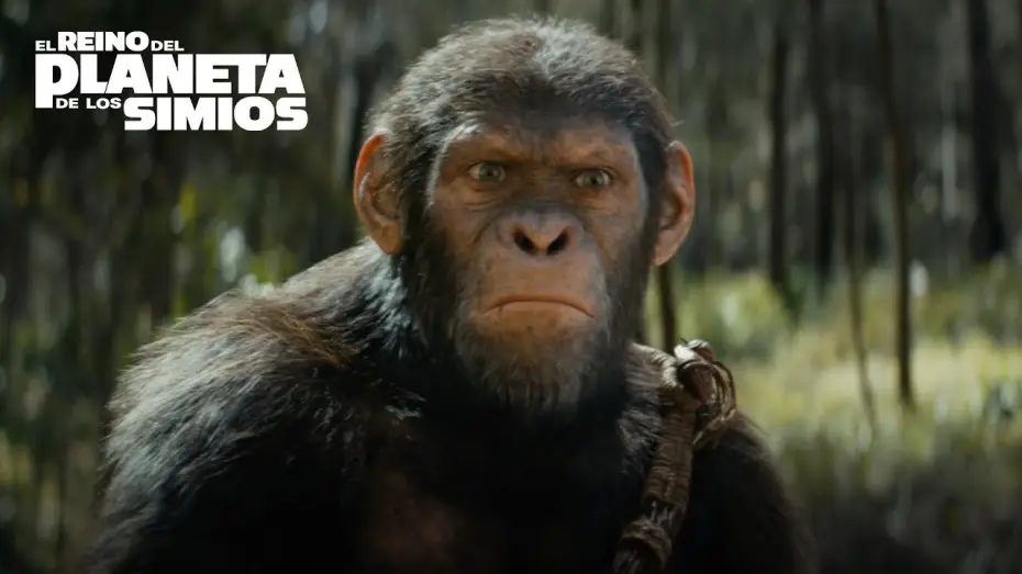 Video for the film Kingdom of the Planet of the Apes — Vívela en IMAX (en español)
