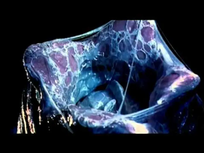 Video for the film AVP: Alien vs. Predator — alien vs predator trailer ita