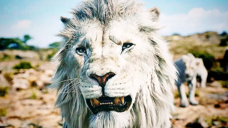 Video for the film Mufasa: The Lion King — Муфаса: Король лев — Русский трейлер #2 (Дубляж, 2024)