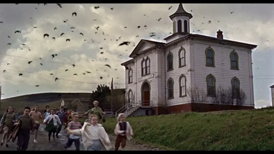 Video for the film The Birds — Alfred Hitchcock Die Vögel Trailer deutsch 2017