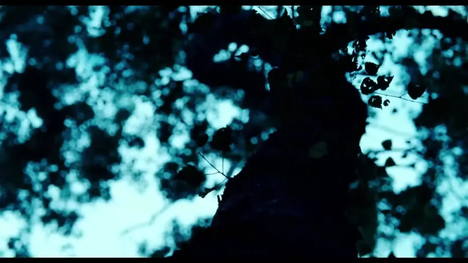 Video for the film Lore — Trailer
