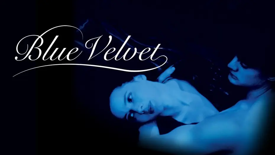 Video for the film Blue Velvet — Blue Velvet | Bande-annonce VOSTF (HD | 1080p)