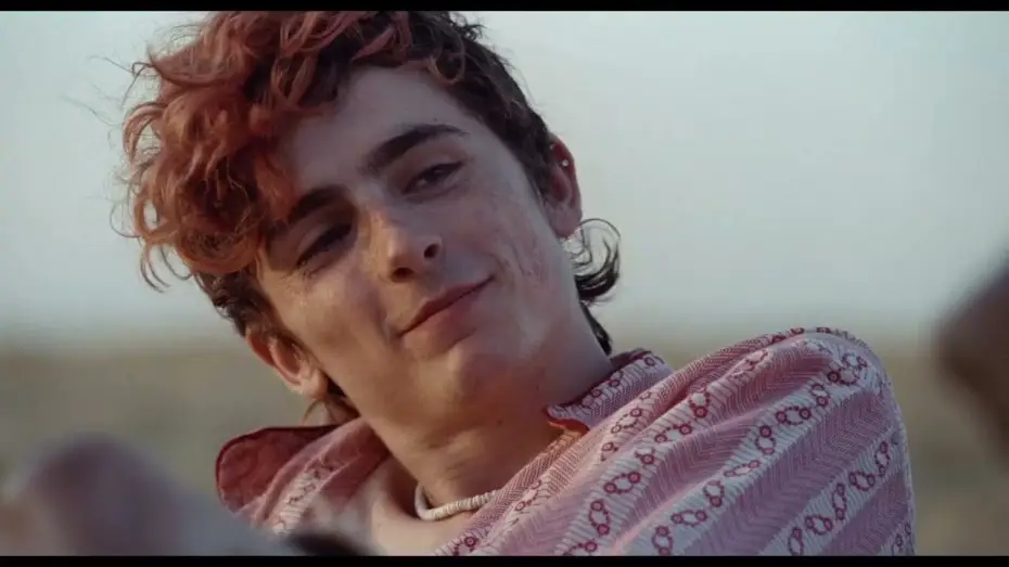 Video for the film Bones and All — BONES AND ALL (2022) - TRAILER UFFICIALE ITALIANO