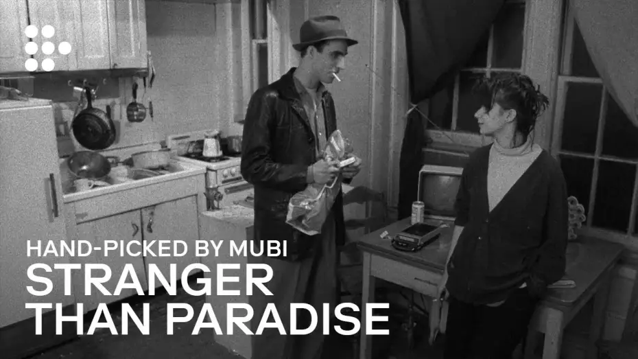 Video for the film Stranger Than Paradise — Hand-picked by MUBI