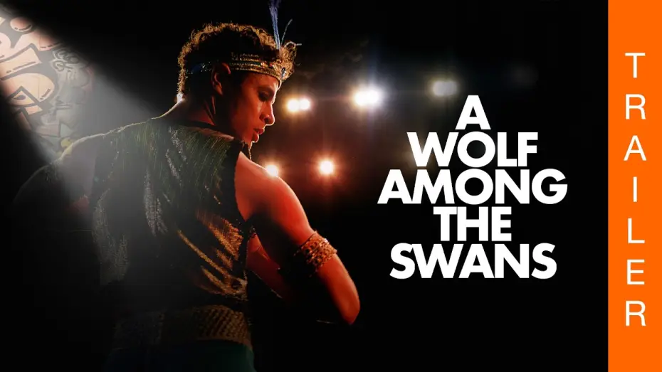 Video for the film A Wolf Among the Swans — A WOLF AMONG THE SWANS von Helena Varvaki und Marcos Schechtman (Offizieller deutscher Trailer)