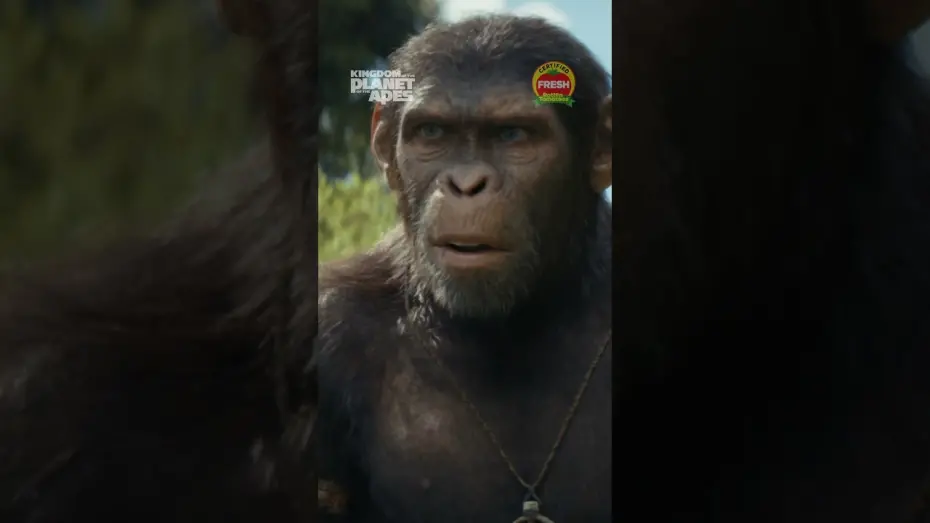 Video for the film Kingdom of the Planet of the Apes — Reign