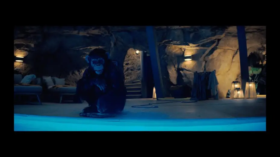 Video for the film Primate — Lucy, Bad - Movie Clip