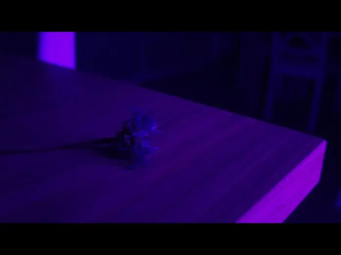 Video for the film Centaurea — Centaurea | Teaser – Film indépendant réalisé au téléphone