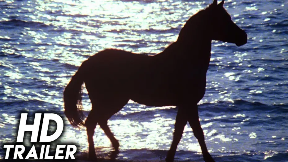 Video for the film The Black Stallion — The Black Stallion (1979) ORIGINAL TRAILER [HD 1080p]