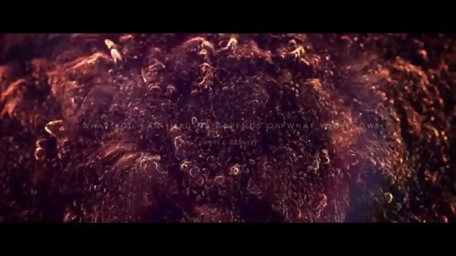 Video for the film Sundays — Sundays Teaser #2