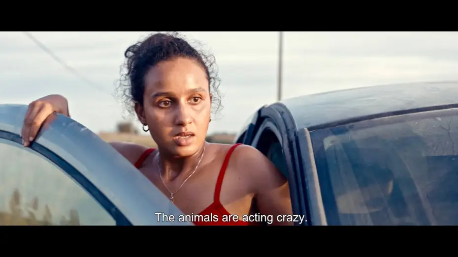 Video for the film Animale — Animale (2024) - Trailer (English Subs)
