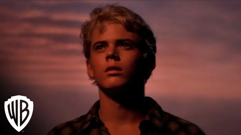 Video for the film The Outsiders — The Complete Novel | Trailer