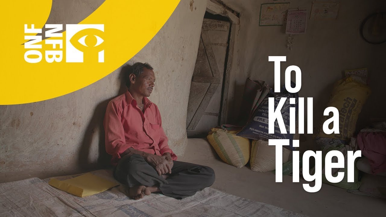 Video for the film To Kill a Tiger — Trailer