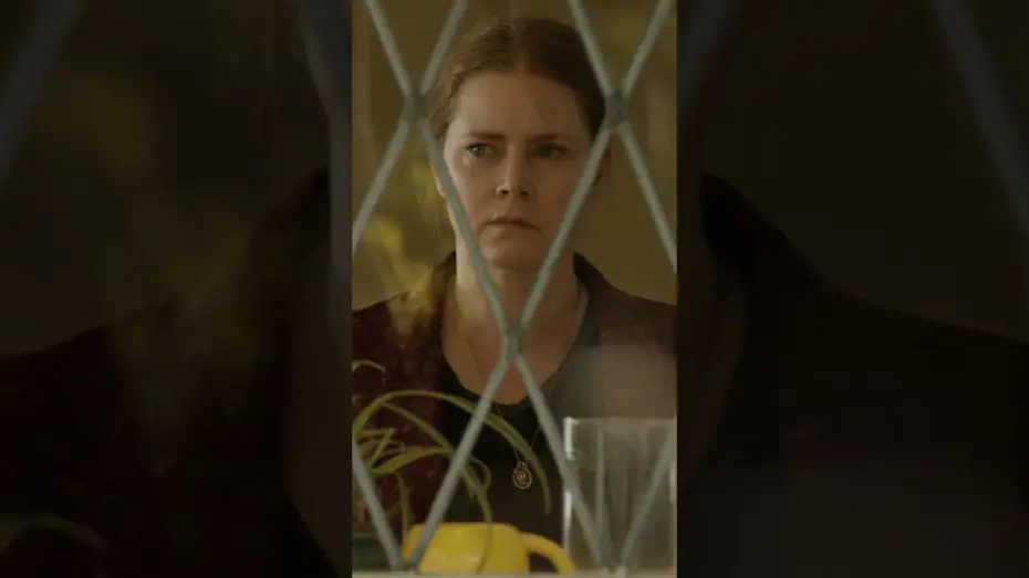 Video for the film Nightbitch — The Concept of Motherhood