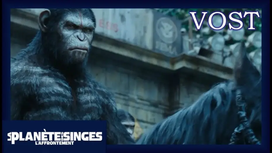 Video for the film Dawn of the Planet of the Apes — La Planète des Singes : L'Affrontement - Bande annonce finale [Officielle] VOST HD
