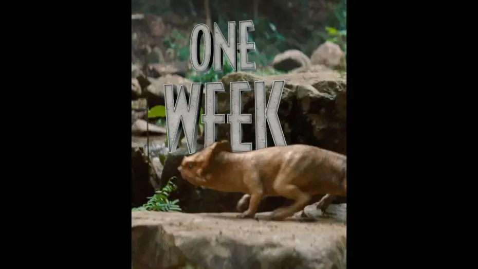 Video for the film Untitled Jurassic World Movie — You ready? Jurassic World Rebirth hits theaters in ONE WEEK. Get your tickets now!