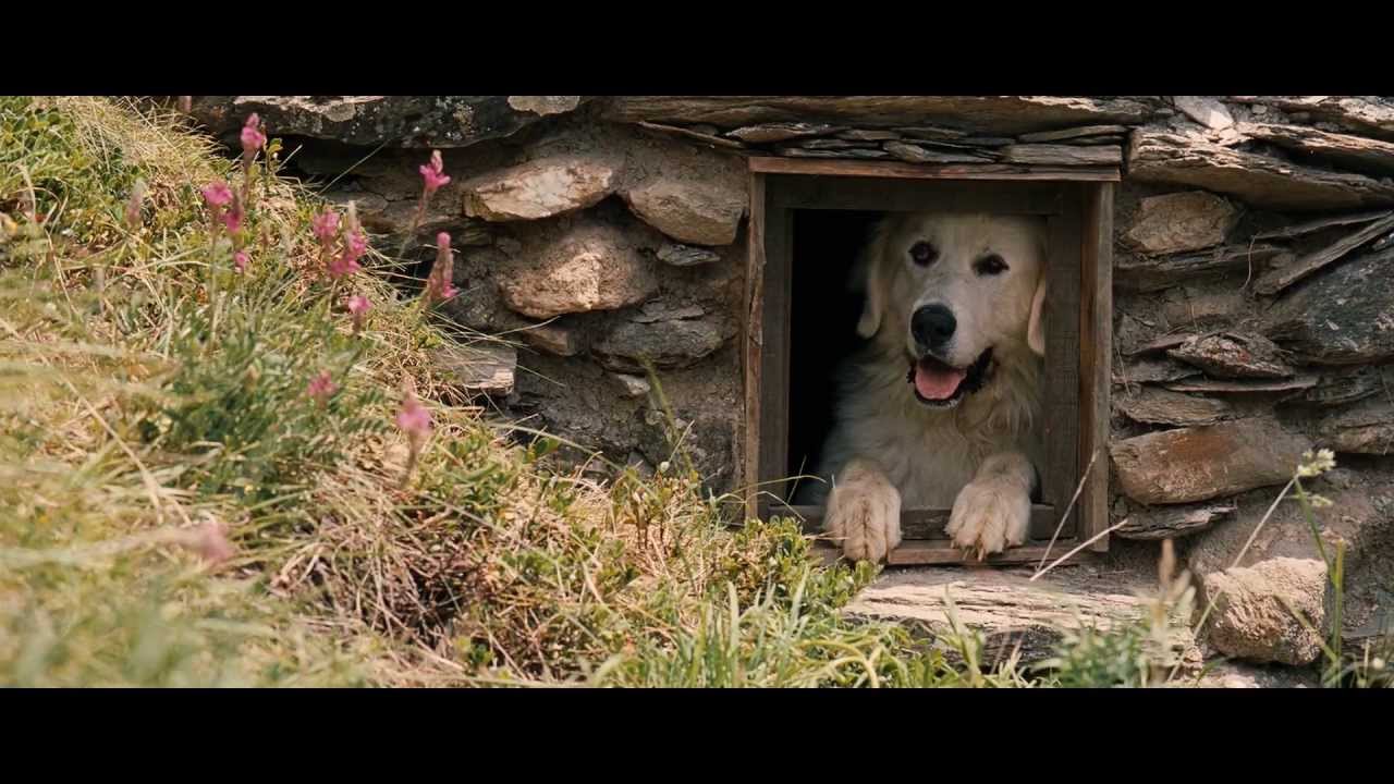 Video for the film Belle and Sebastian — Belle and Sébastien (2013) - Trailer English Subs