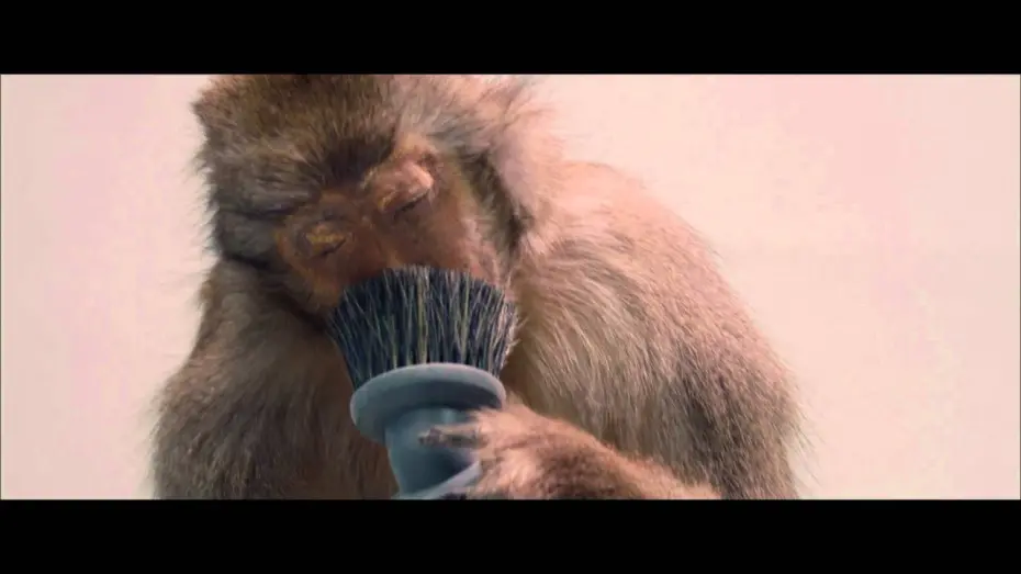 Video for the film (Untitled) — (Untitled)  - Trailer (2009)