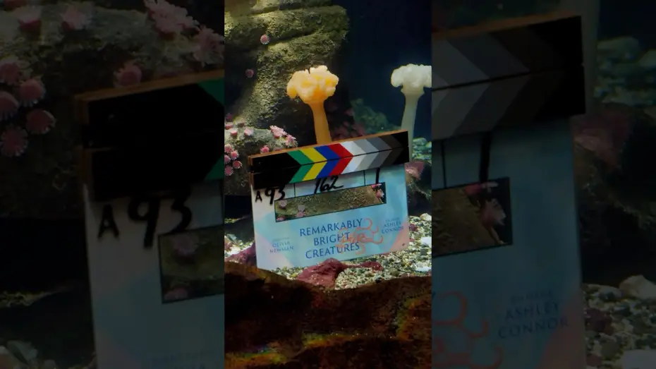 Video for the film Remarkably Bright Creatures — that's a wrap on Remarkably Bright Creatures