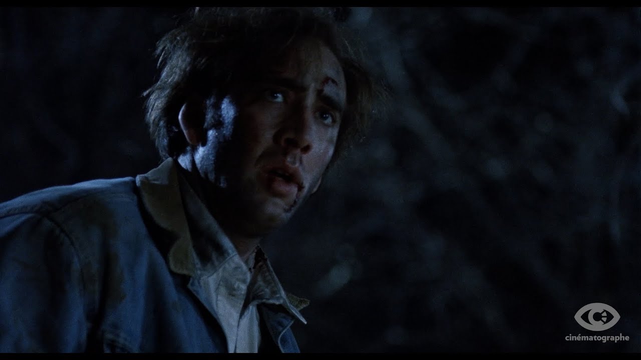 Video for the film Red Rock West — Cinématographe Blu-ray Promo Trailer