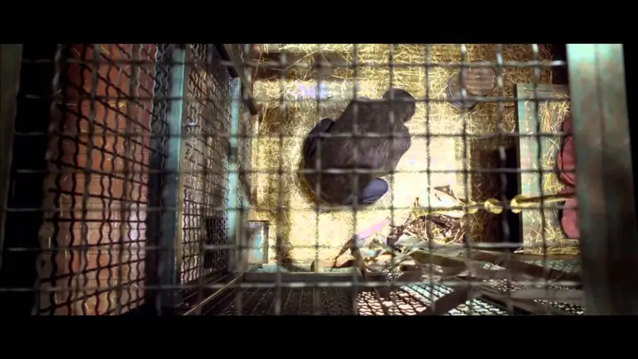 Video for the film Rise of the Planet of the Apes — L'alba del pianeta delle Scimmie Trailer Launch