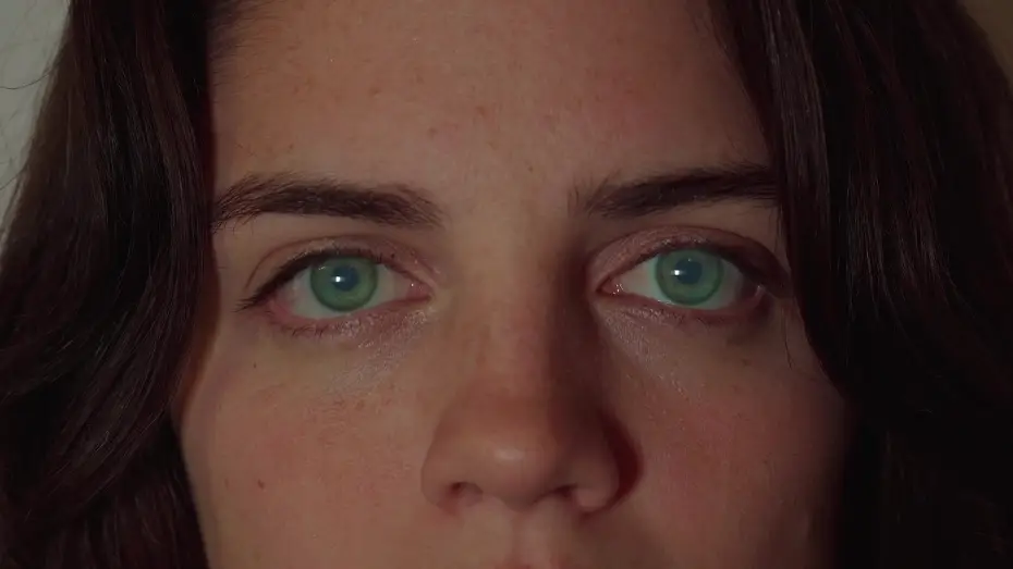 Video for the film A Life in Colour — A Life in Colour (2026) | Proof of Concept